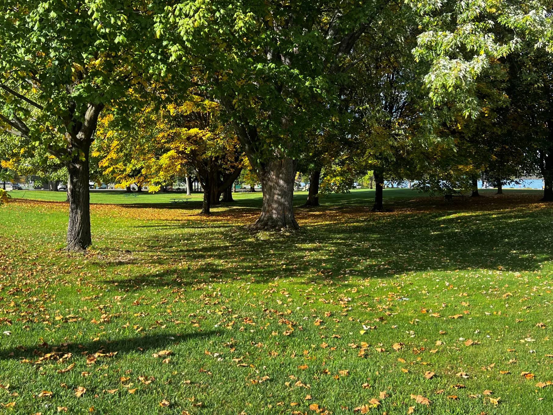 Open lawn and shoreline at Hodag Park in Rhinelander