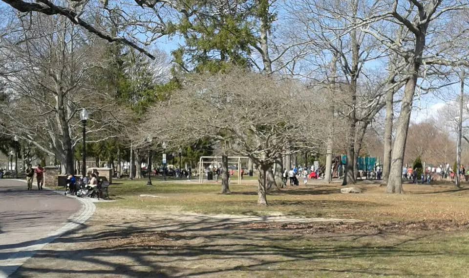 Buttonwood Park Playground