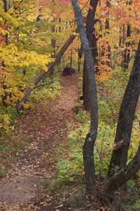 Paved trail and park setting at Lincoln Park in Duluth