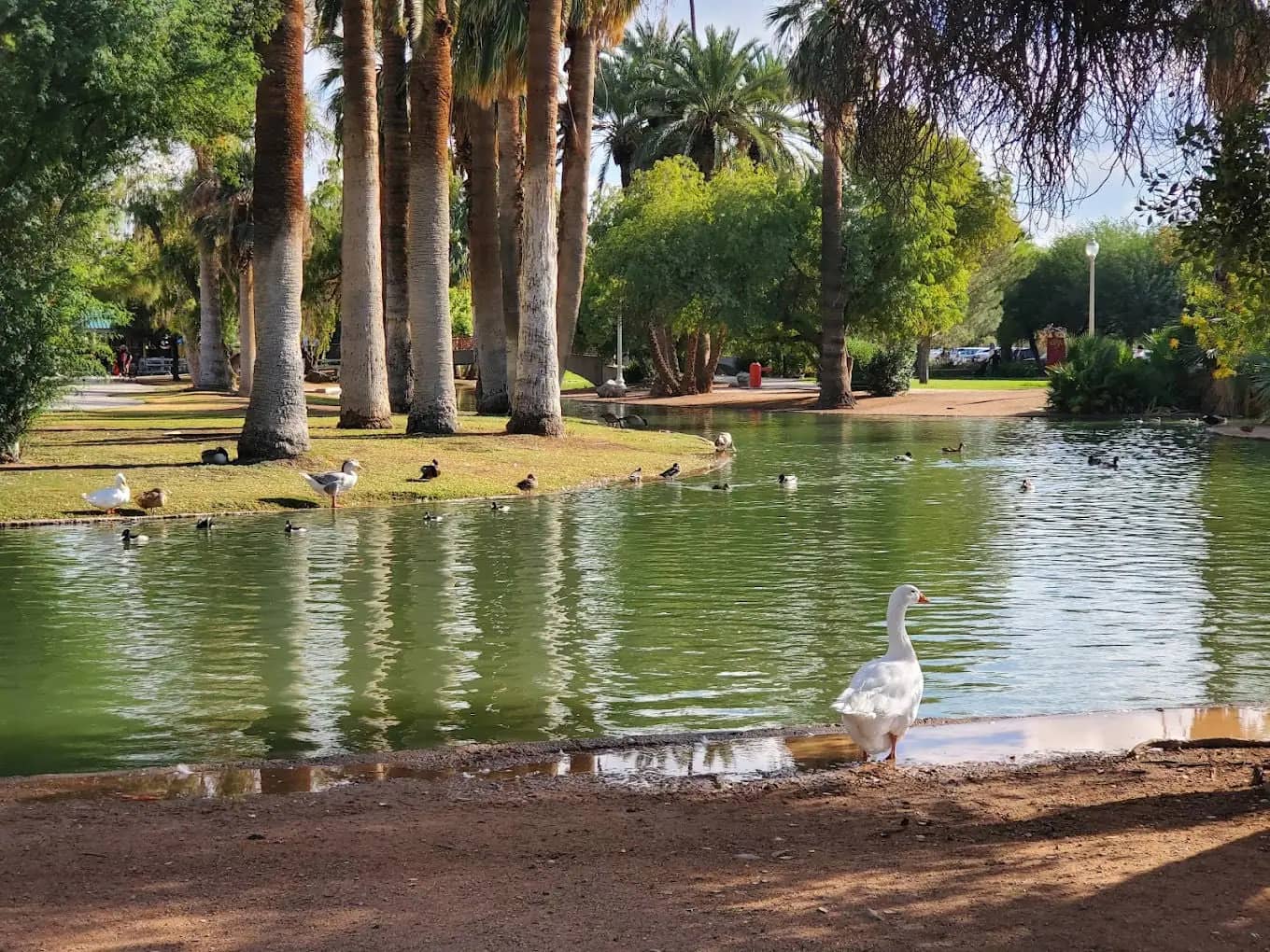 Encanto Park Accessible Playground