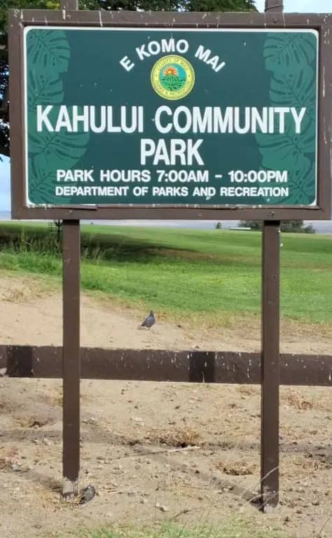 Kahului Community Park Playground