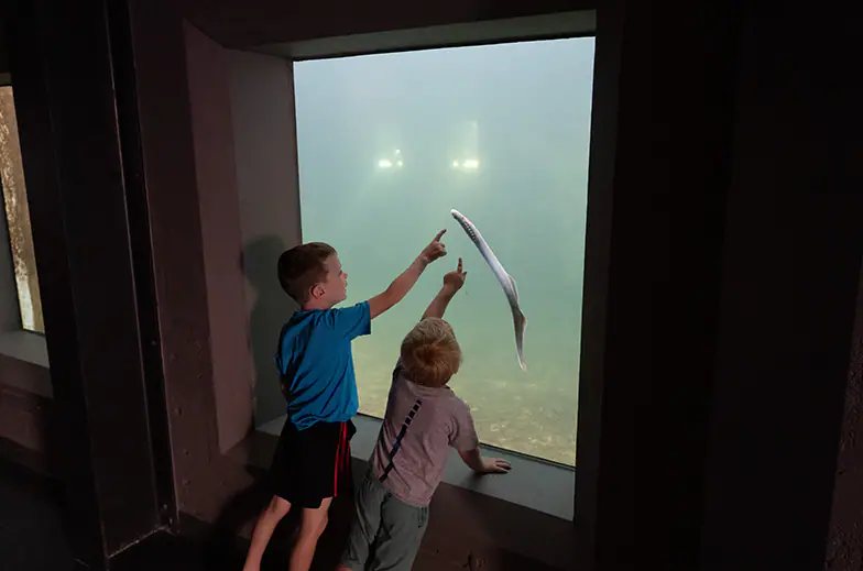 Rocky Reach Discovery Center family space