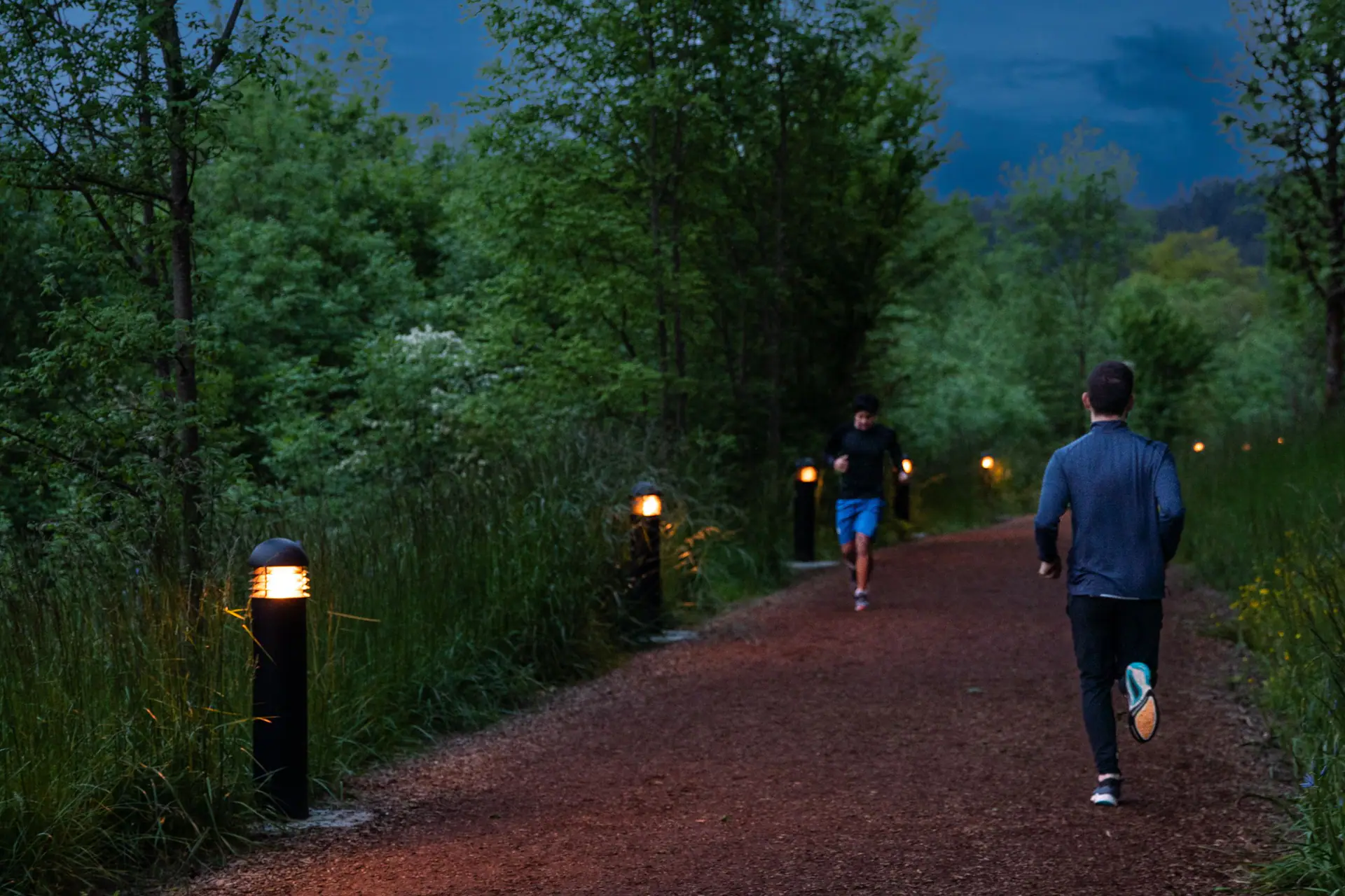 Path and park setting at Amazon Park in Eugene