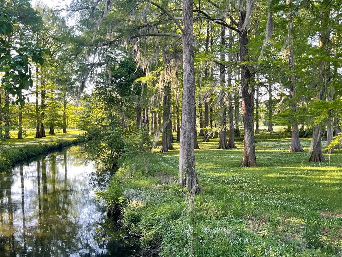 Creek and green space at Wallace Park in Wilmington