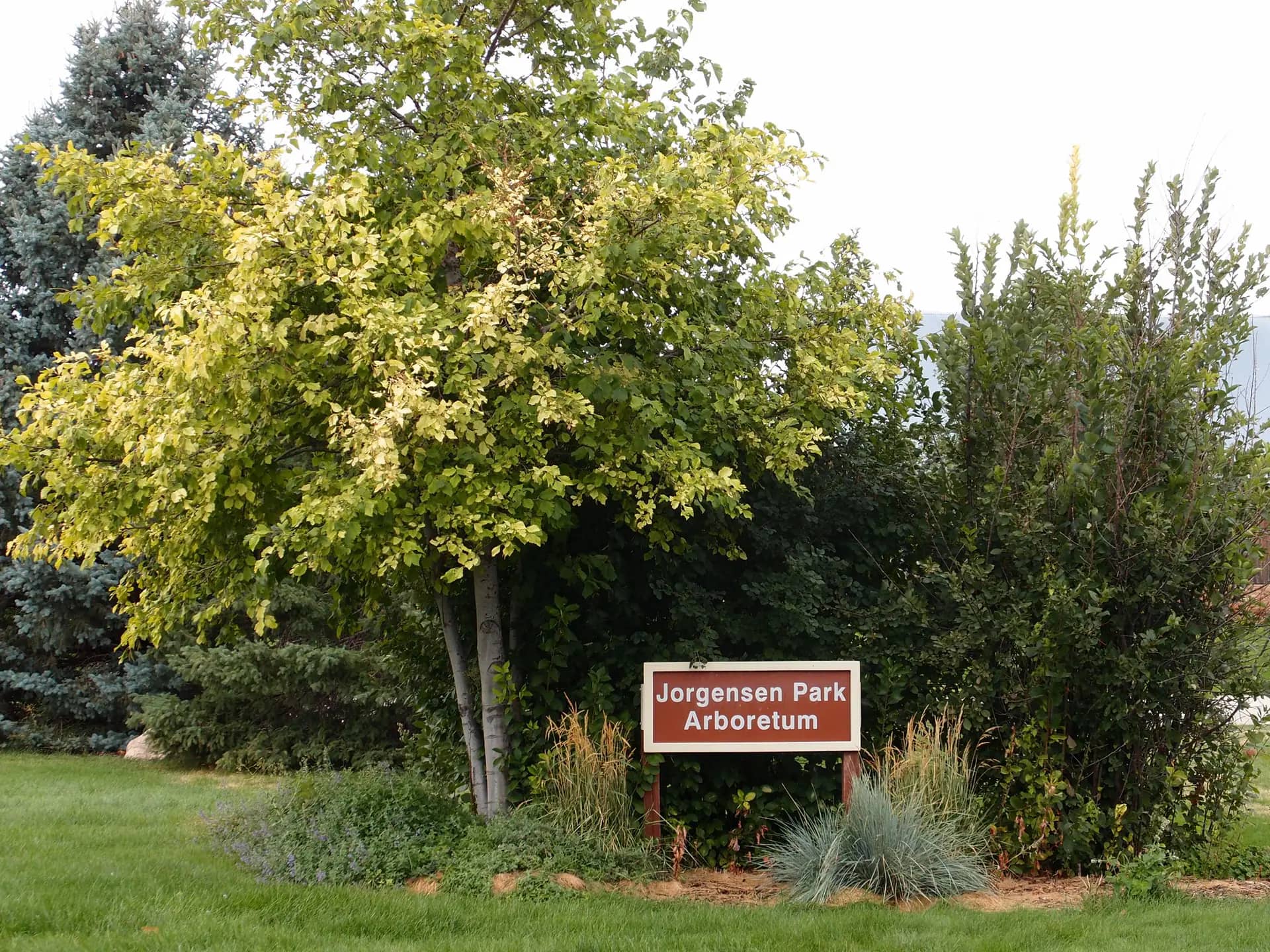 Inclusive playground and park setting at Jorgensen Park in Spearfish
