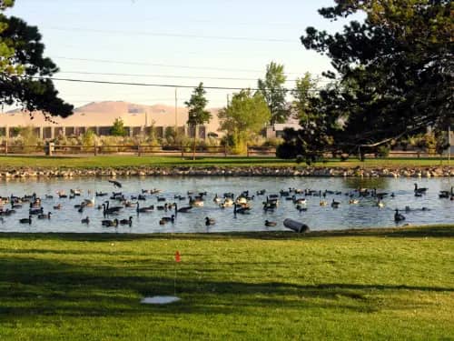 Another view of Ross Gold Park play area